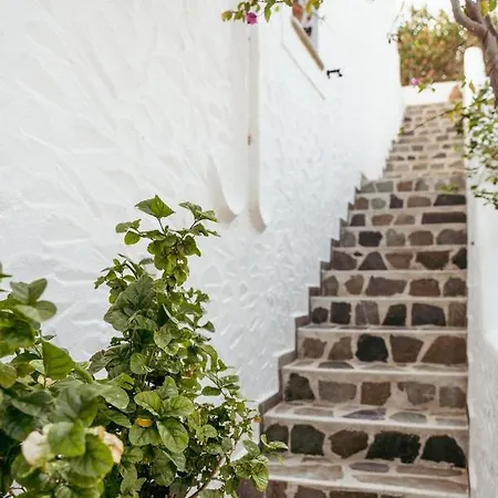 ヴィラ Nefeli House